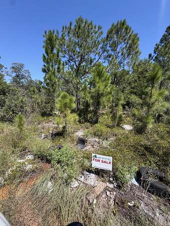 0.24 Acres of Residential Land for Sale in Lake Placid, Florida