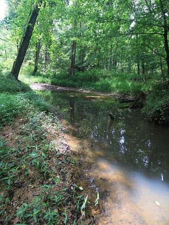 17 Acres of Land for Sale in Reidsville, North Carolina