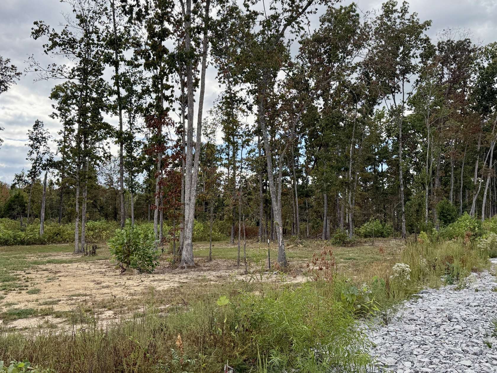 6 Acres of Residential Land for Sale in Wartrace, Tennessee