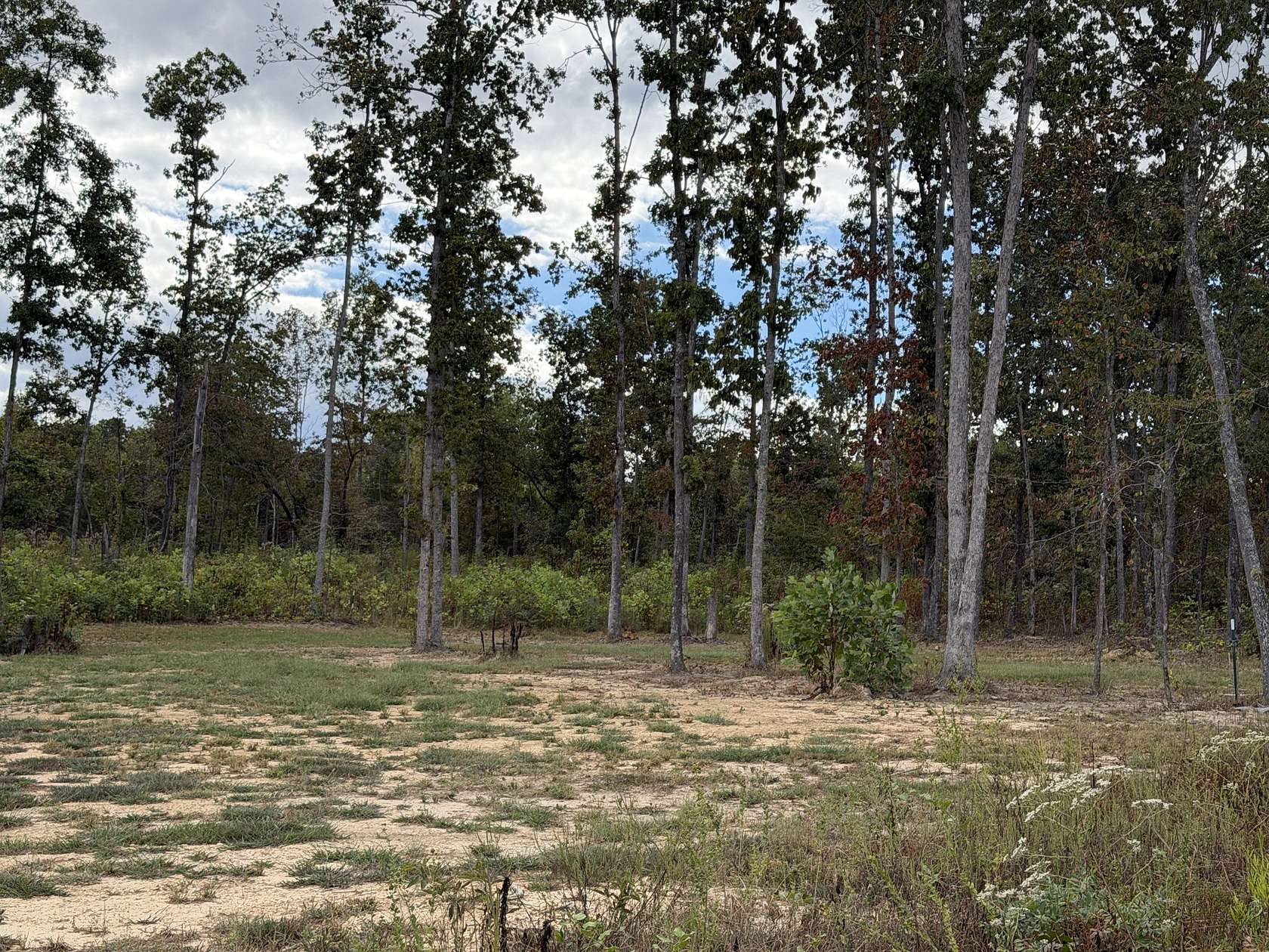 6.53 Acres of Residential Land for Sale in Wartrace, Tennessee