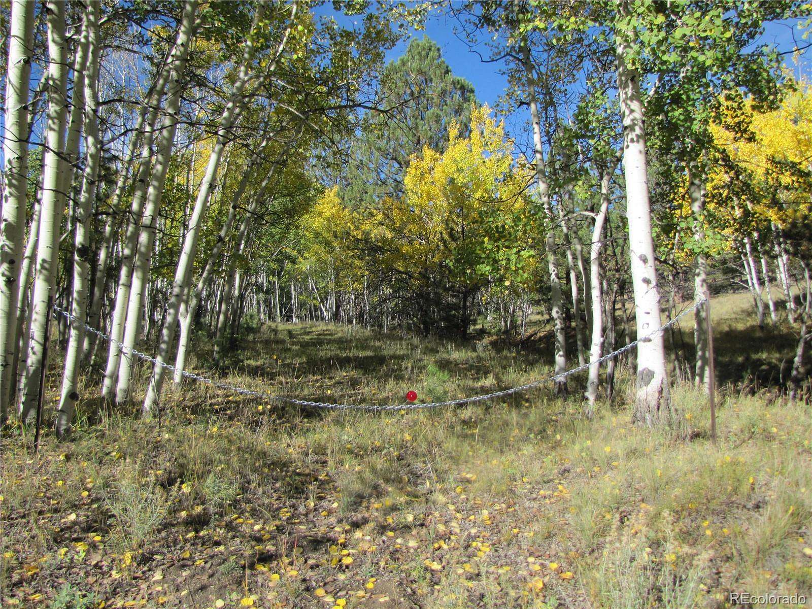 3 Acres of Land for Sale in Hartsel, Colorado