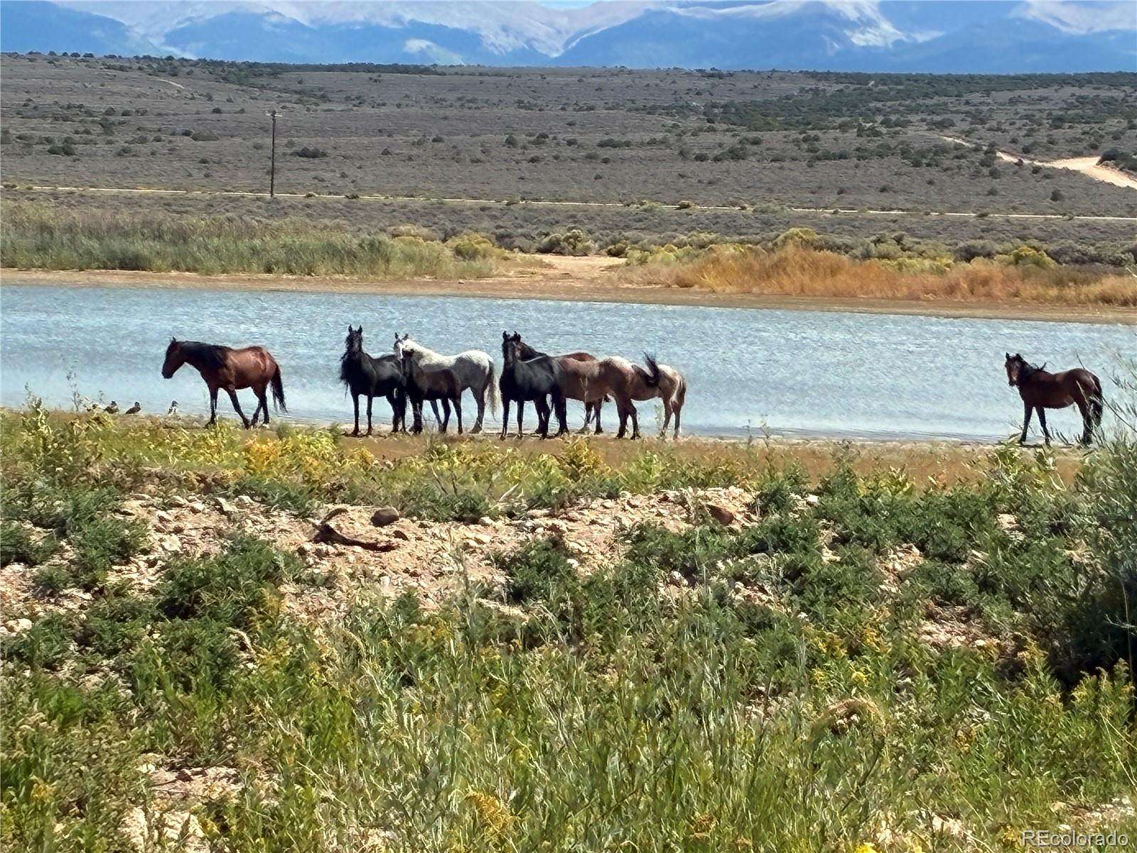 54 Acres of Recreational Land for Sale in San Luis, Colorado