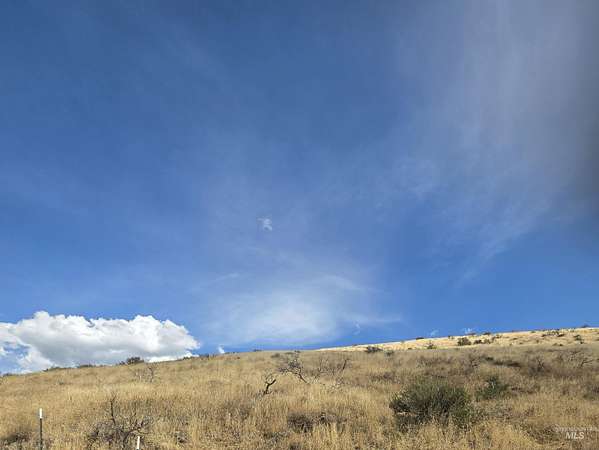 81.7 Acres of Land for Sale in Cambridge, Idaho
