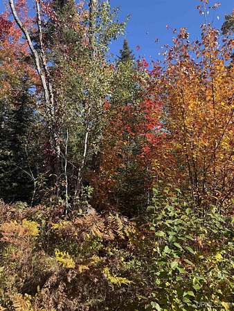 40 Acres of Recreational Land for Sale in Covington, Michigan