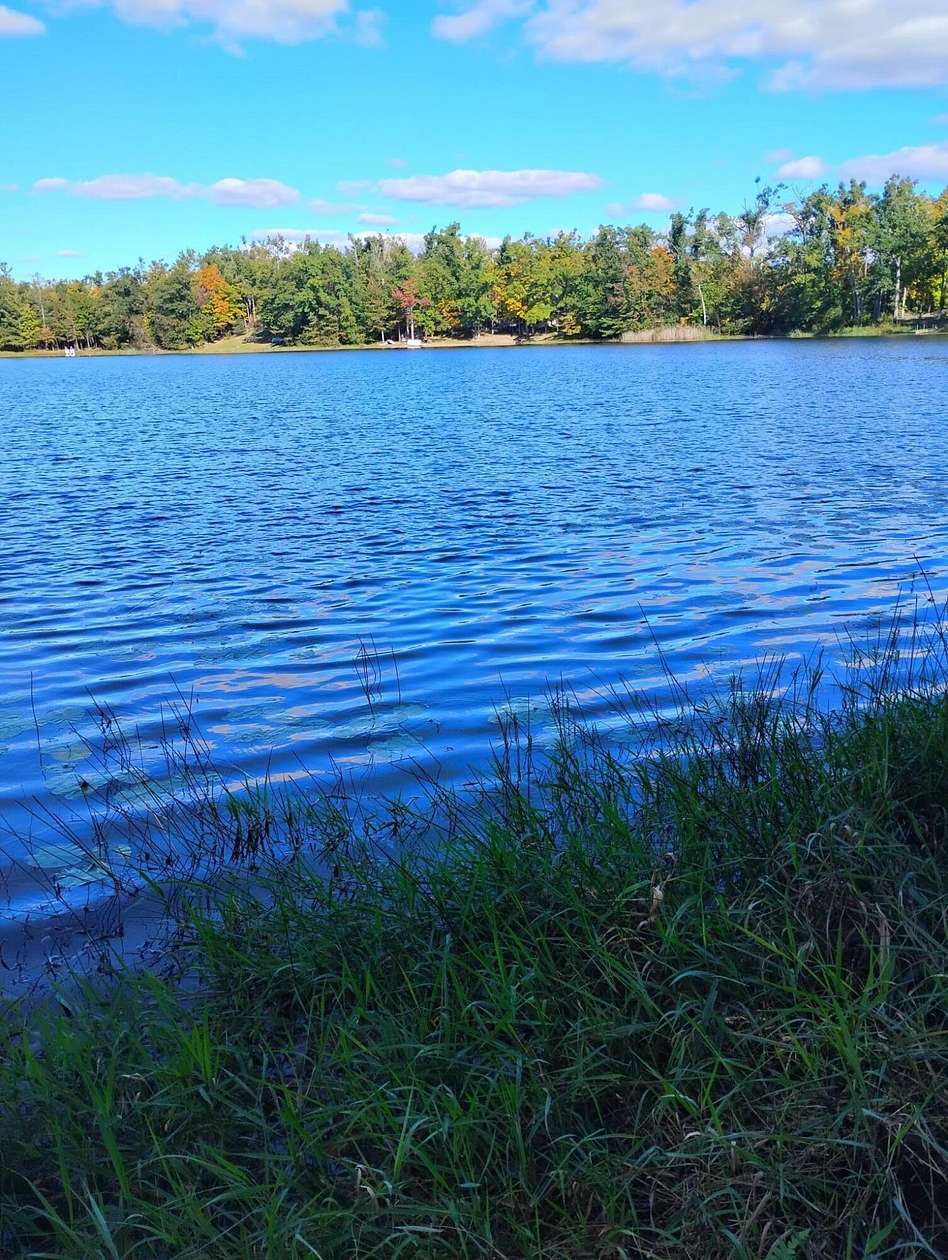 0.52 Acres of Land for Sale in Johannesburg, Michigan