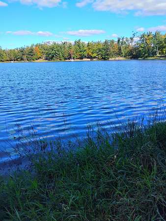 0.52 Acres of Land for Sale in Johannesburg, Michigan