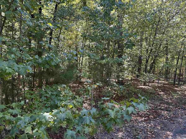 0.36 Acres of Land for Sale in Hot Springs Village, Arkansas