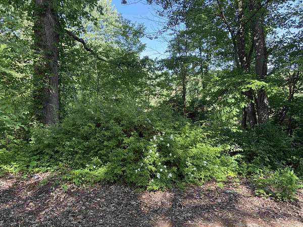 0.09 Acres of Land for Sale in South Bend, Indiana