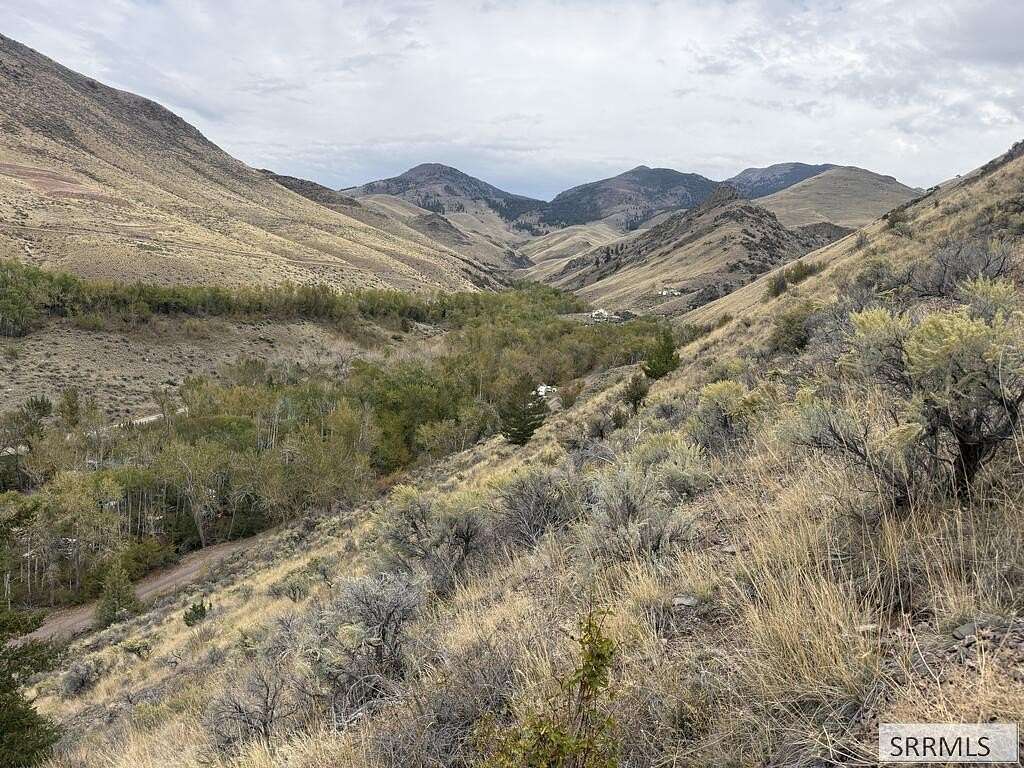 9.84 Acres of Residential Land for Sale in Salmon, Idaho