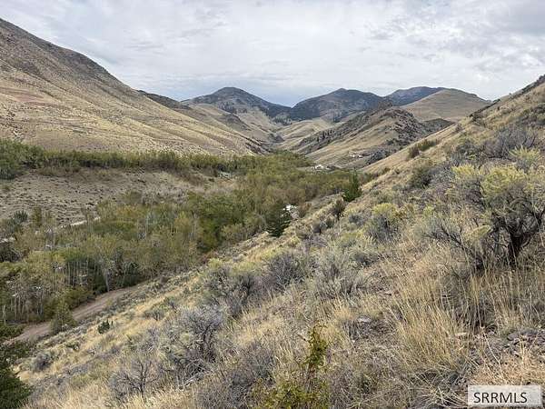 9.84 Acres of Residential Land for Sale in Salmon, Idaho