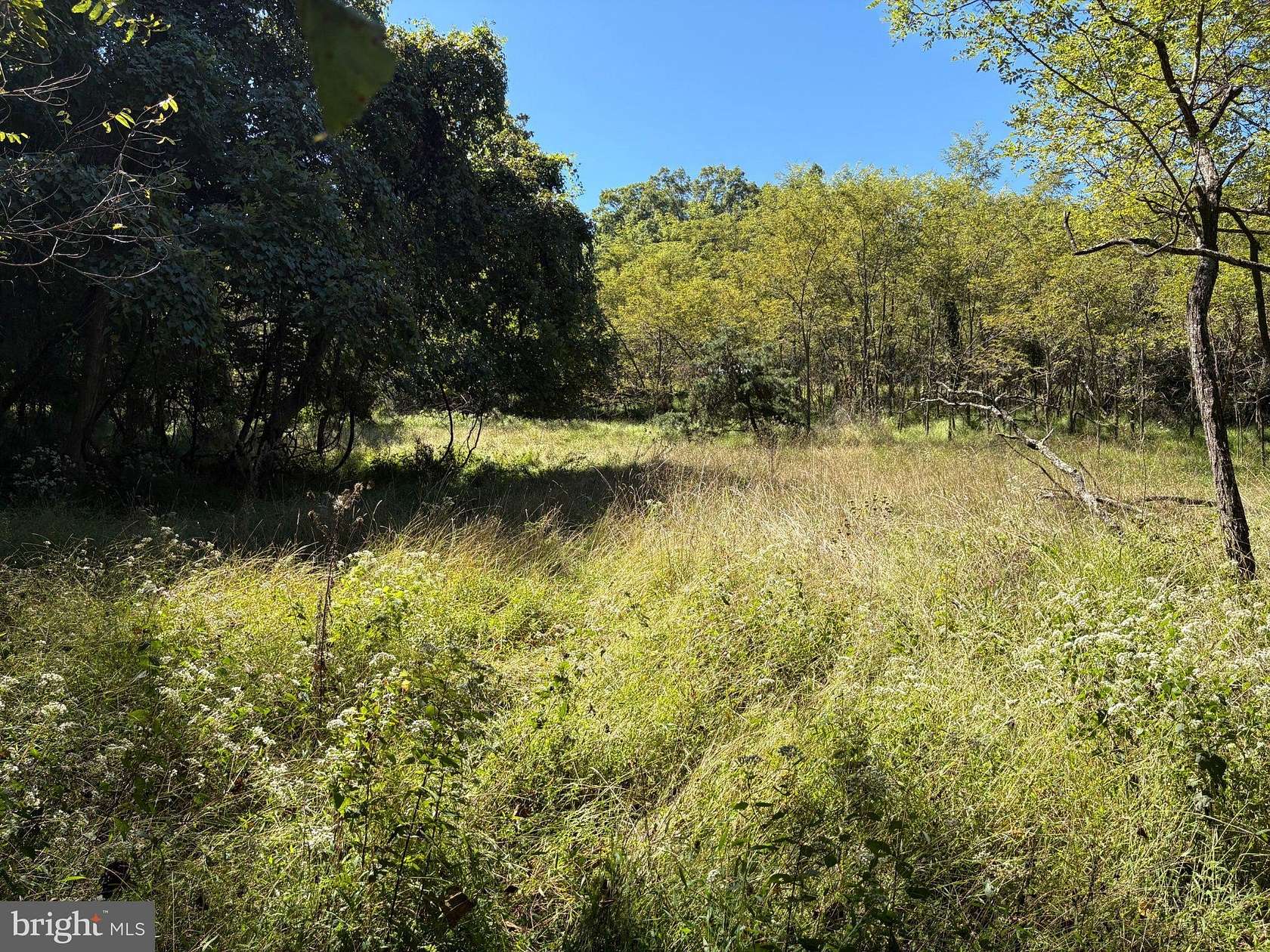 20 Acres of Recreational Land for Sale in Springfield, West Virginia