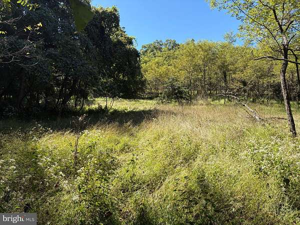 20 Acres of Recreational Land for Sale in Springfield, West Virginia