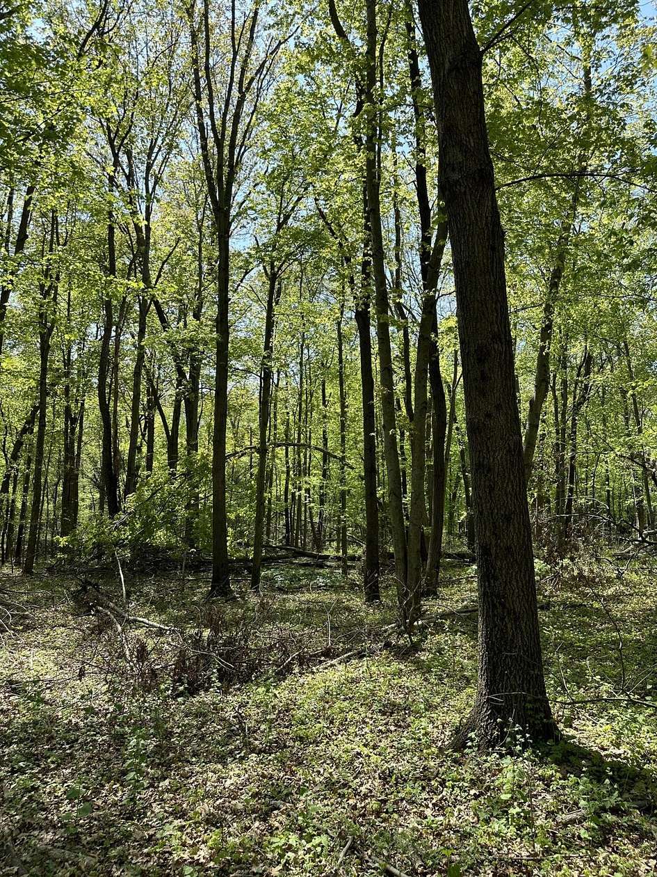 5 Acres of Land for Sale in Battle Creek, Michigan