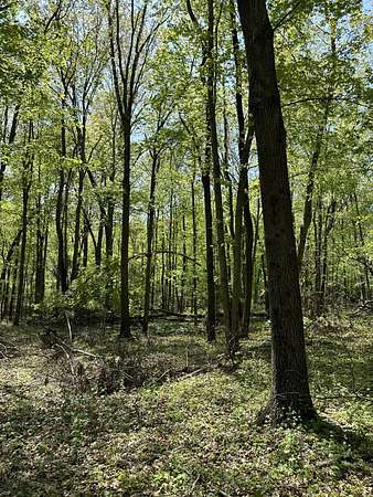 5 Acres of Land for Sale in Battle Creek, Michigan