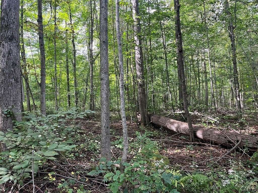 65.5 Acres of Land for Sale in Springwater, New York