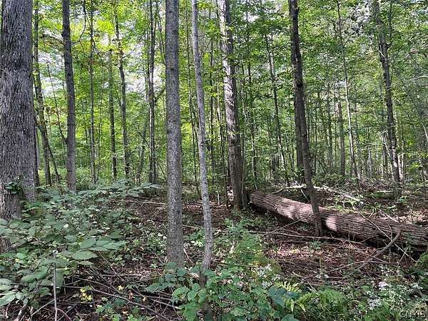 65.5 Acres of Land for Sale in Springwater, New York