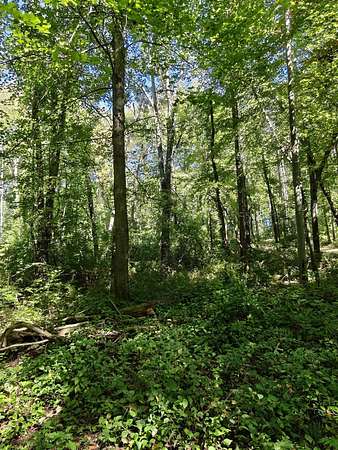 1.36 Acres of Residential Land for Sale in Jackson, Michigan