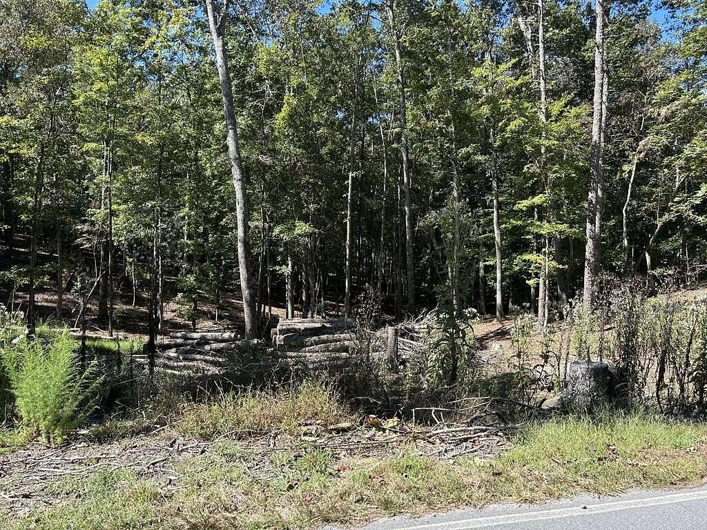 0.55 Acres of Land for Sale in Ellijay, Georgia