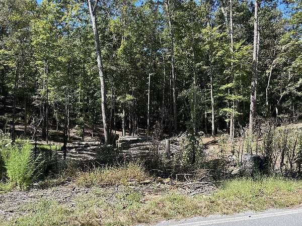0.55 Acres of Land for Sale in Ellijay, Georgia