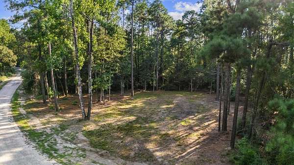 0.51 Acres of Residential Land for Sale in Brookeland, Texas