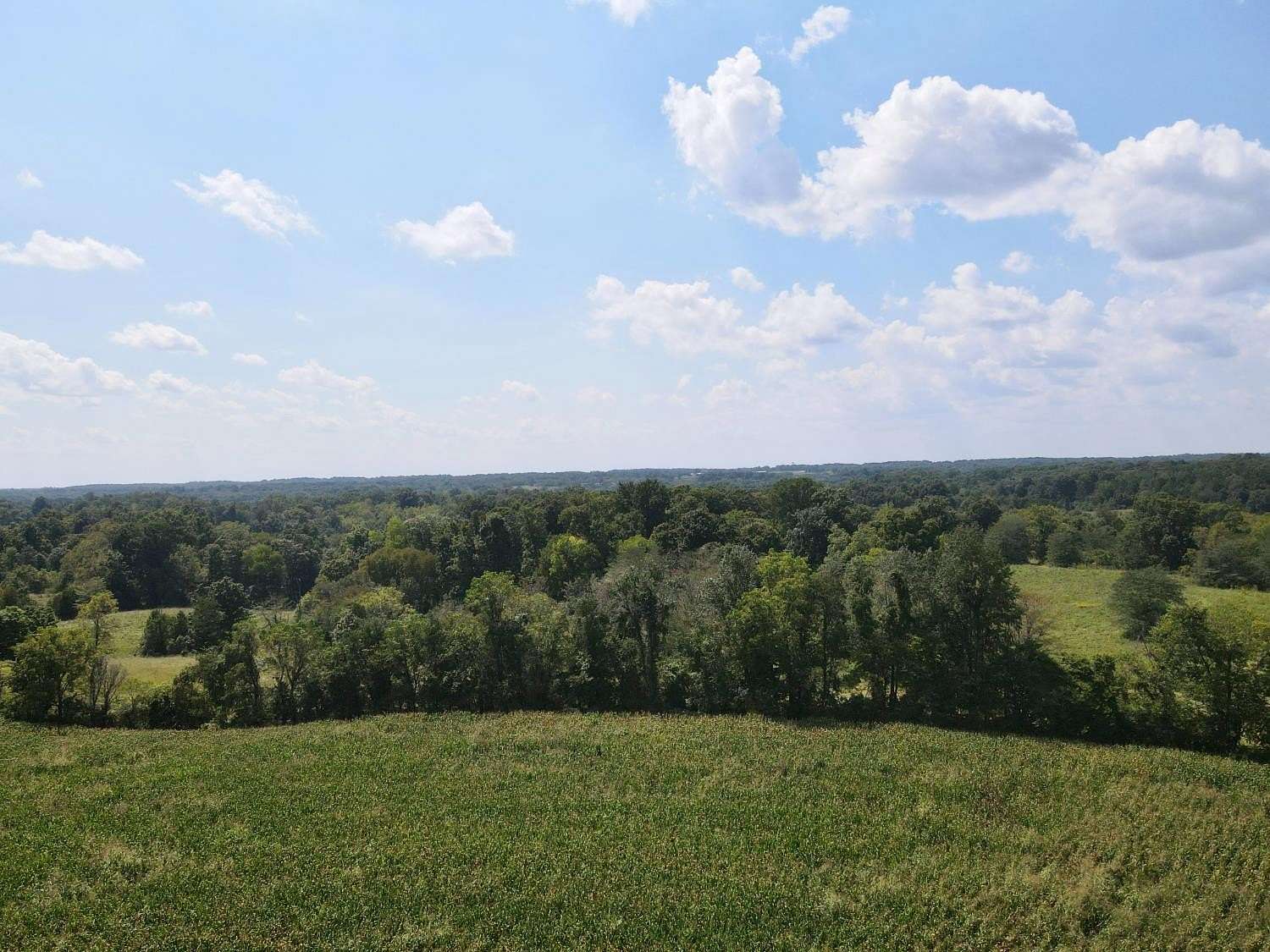 28 Acres of Land for Sale in Vevay, Indiana