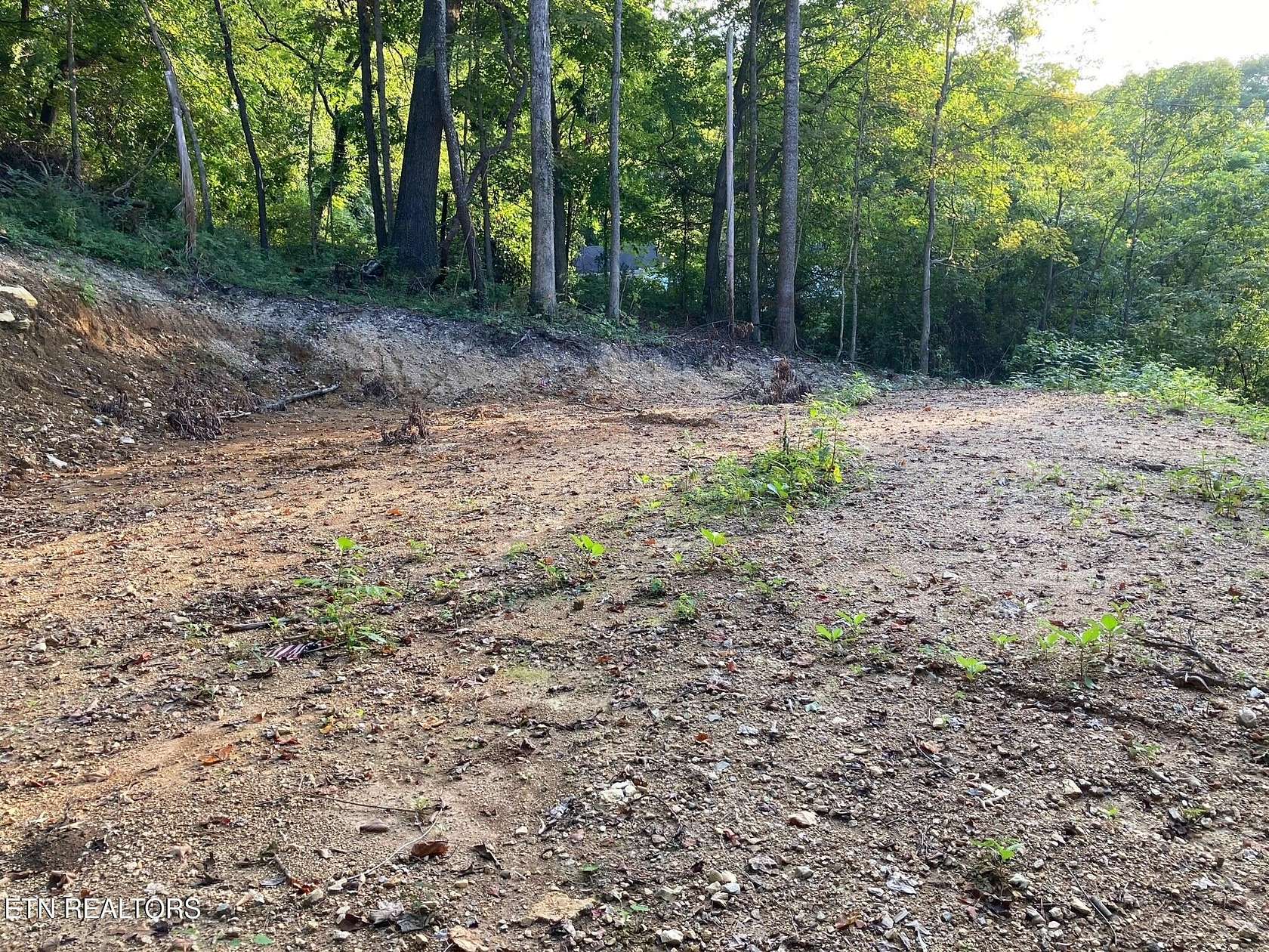 0.52 Acres of Residential Land for Sale in La Follette, Tennessee