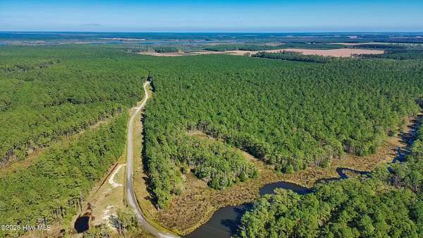 19 Acres of Land for Sale in Scranton, North Carolina