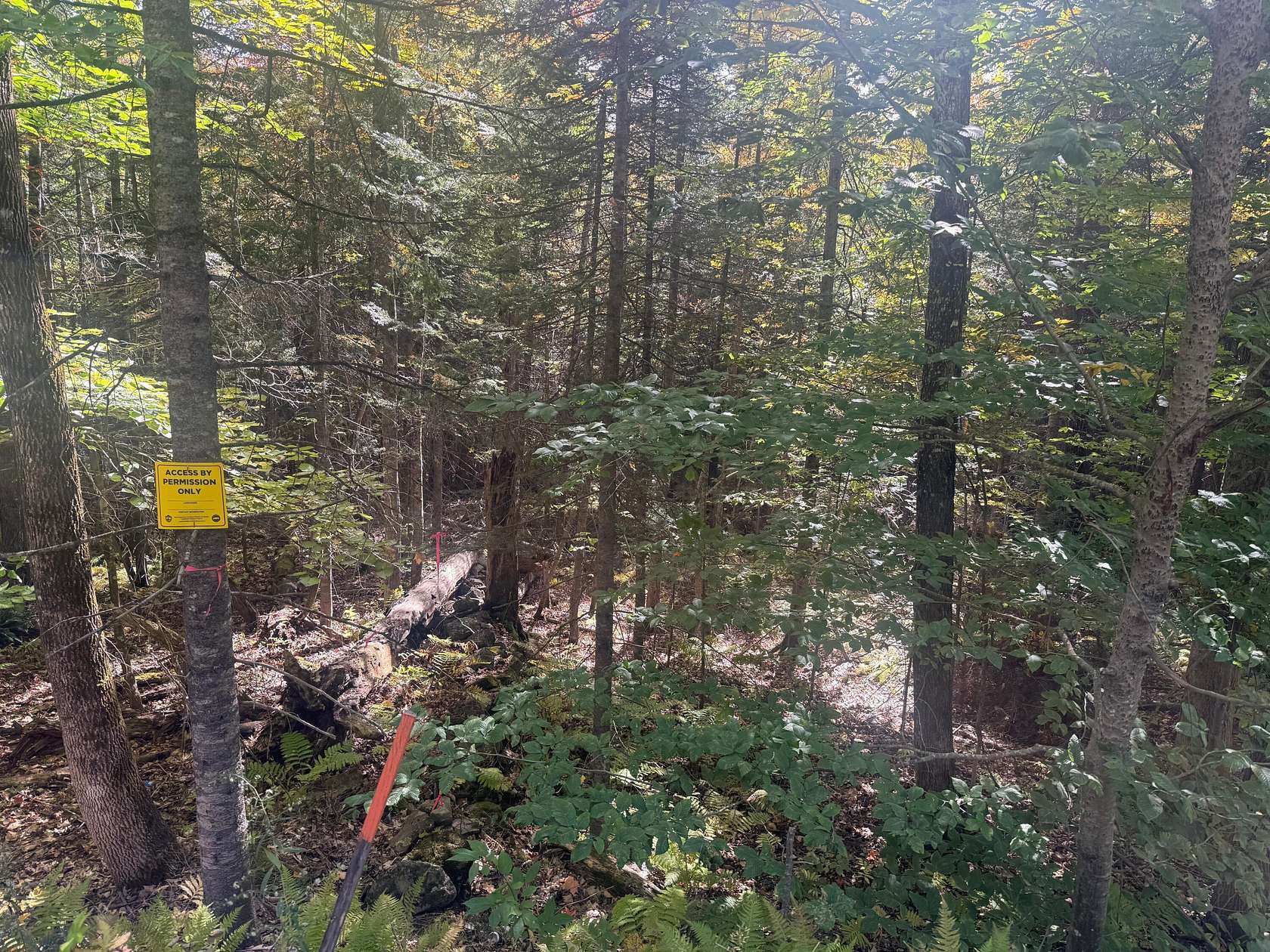 5 Acres of Land for Sale in New Portland, Maine