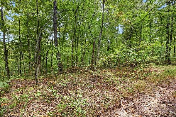 2.7 Acres of Residential Land for Sale in Celina, Tennessee