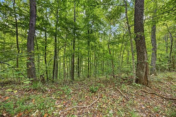 2.86 Acres of Residential Land for Sale in Celina, Tennessee