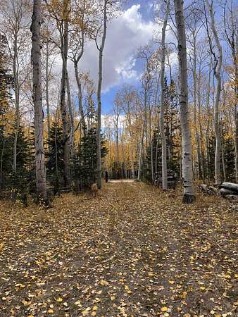 2.73 Acres of Land for Sale in Brian Head, Utah
