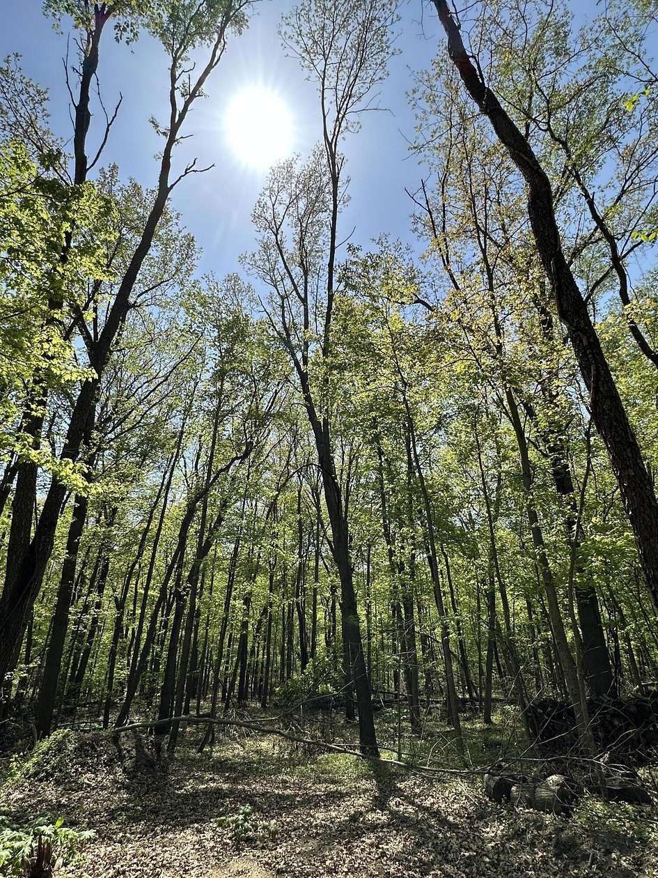 5 Acres of Land for Sale in Battle Creek, Michigan