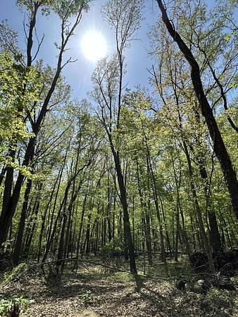 5 Acres of Land for Sale in Battle Creek, Michigan
