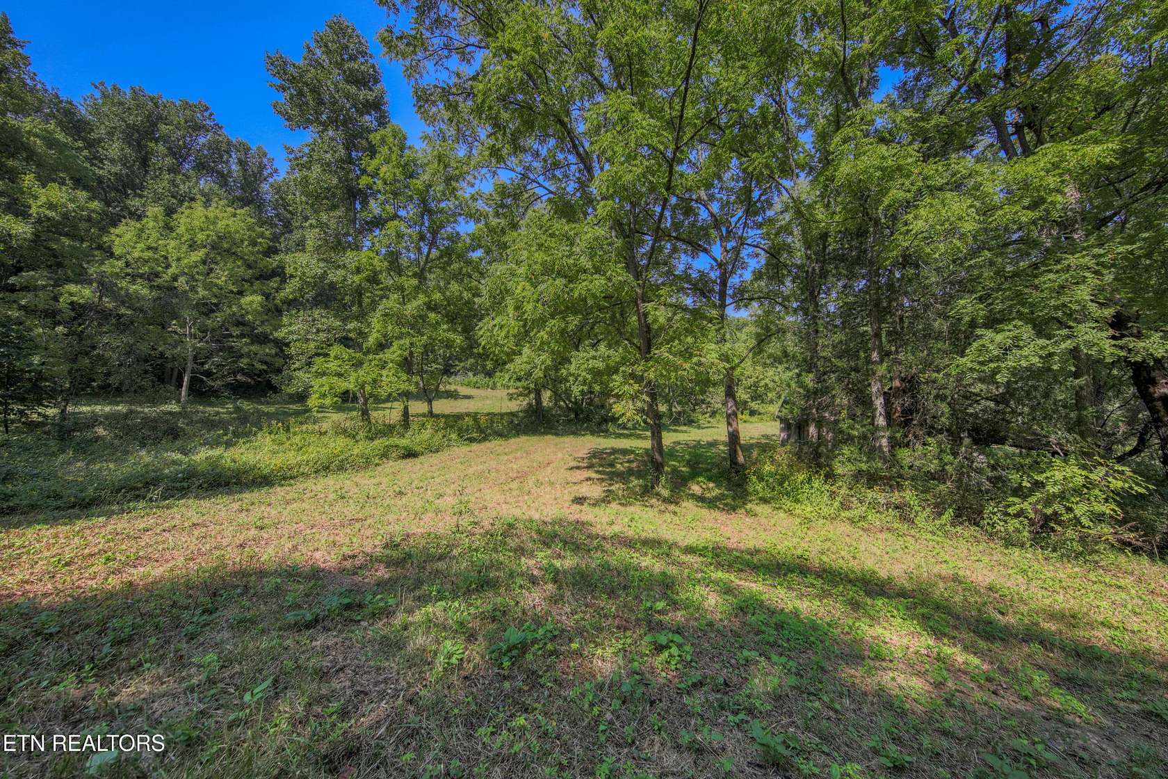 83.2 Acres of Land for Sale in Tellico Plains, Tennessee