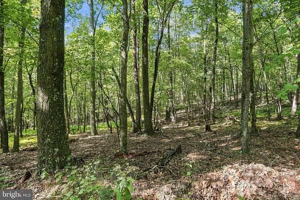 27.4 Acres of Recreational & Residential Land for Sale in Baker, West Virginia