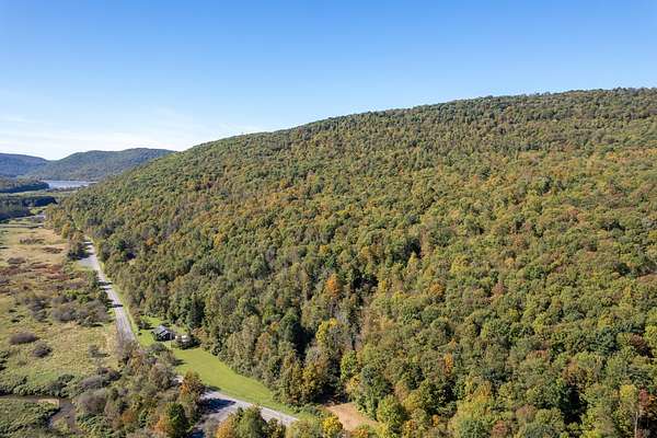 80 Acres of Recreational Land for Sale in Sidney Center, New York