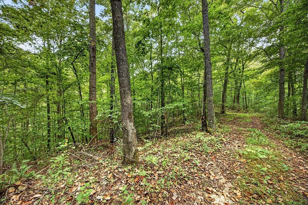 3 Acres of Residential Land for Sale in Celina, Tennessee