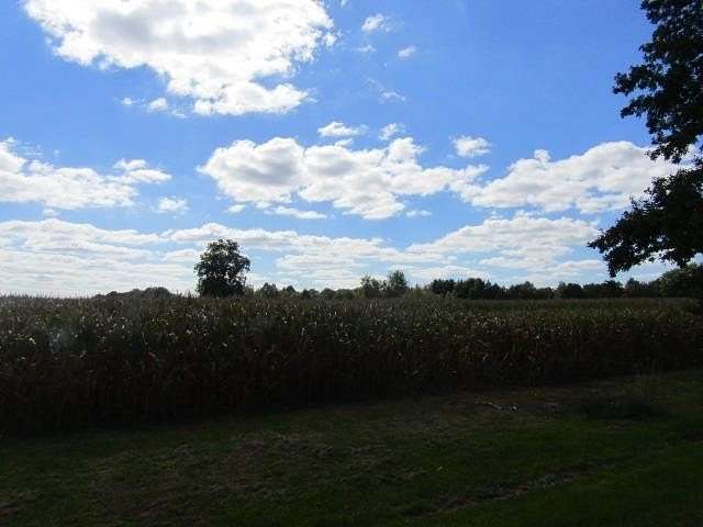 10.9 Acres of Land for Sale in Laingsburg, Michigan