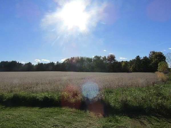 10.9 Acres of Land for Sale in Laingsburg, Michigan