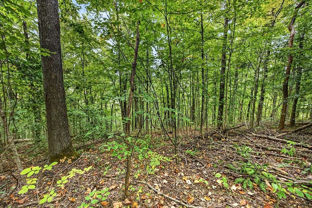 5.3 Acres of Residential Land for Sale in Celina, Tennessee