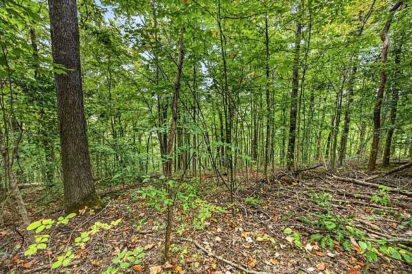 5.3 Acres of Residential Land for Sale in Celina, Tennessee