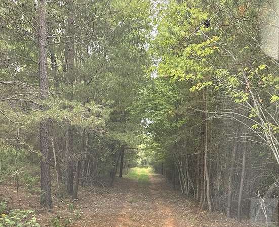 60.9 Acres of Land for Sale in Axton, Virginia