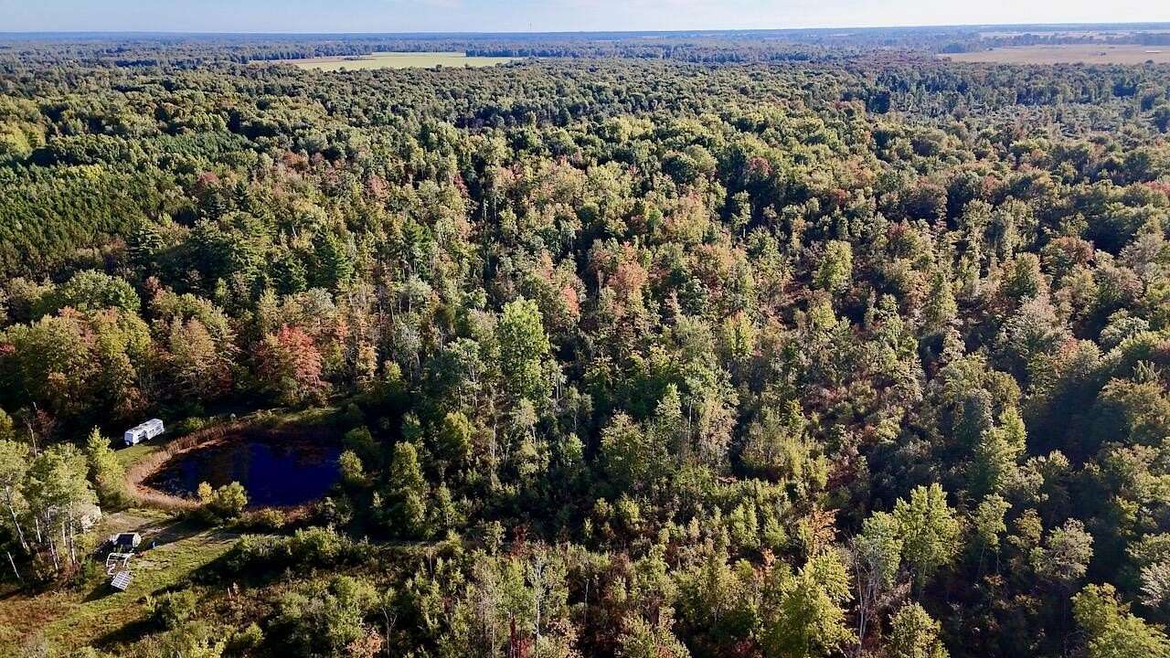 29 Acres of Recreational Land for Sale in Twining, Michigan
