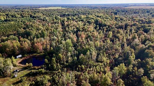 29 Acres of Recreational Land for Sale in Twining, Michigan