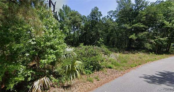 0.25 Acres of Residential Land for Sale in Silver Springs, Florida