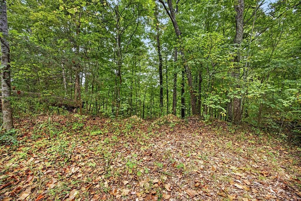 3.65 Acres of Residential Land for Sale in Celina, Tennessee