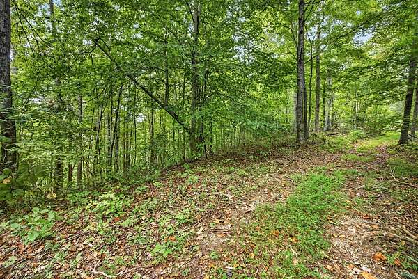 4.27 Acres of Residential Land for Sale in Celina, Tennessee