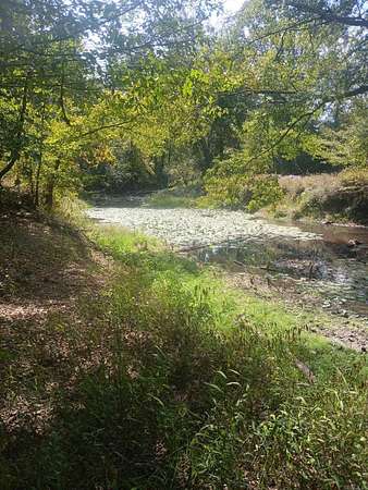 33 Acres of Recreational Land for Sale in Poyen, Arkansas