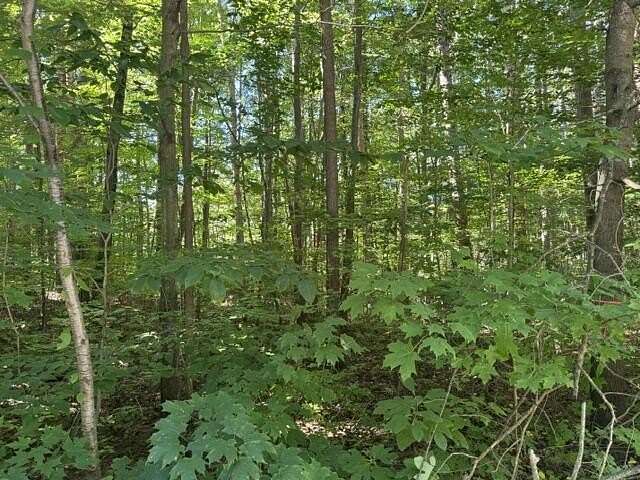1 Acre of Residential Land for Sale in Fennville, Michigan