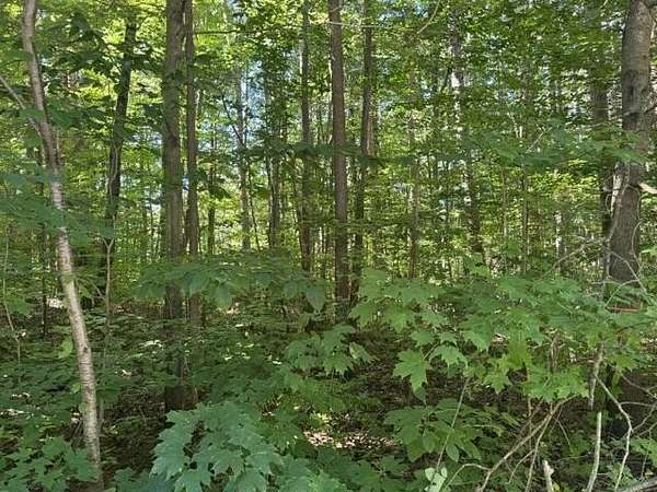 1 Acre of Residential Land for Sale in Fennville, Michigan